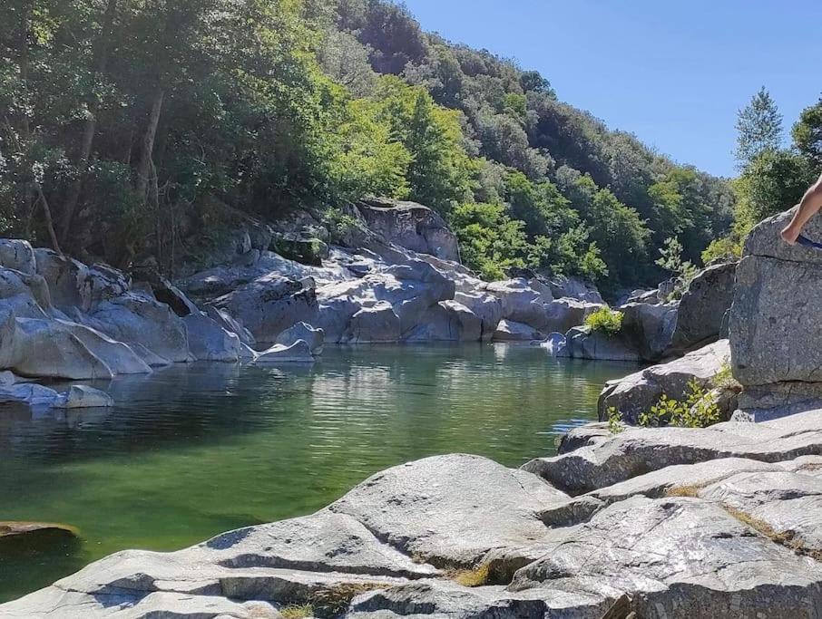 Апартаменты Gite Des 3 Vallees - Le Soleil Des Cevennes Сен-Жан-дю-Гар Экстерьер фото