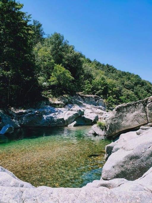 Апартаменты Gite Des 3 Vallees - Le Soleil Des Cevennes Сен-Жан-дю-Гар Экстерьер фото