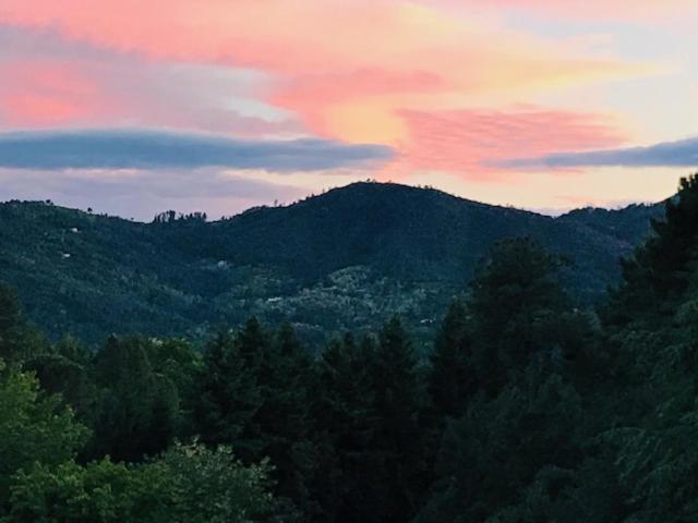 Апартаменты Gite Des 3 Vallees - Le Soleil Des Cevennes Сен-Жан-дю-Гар Экстерьер фото